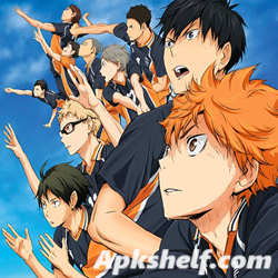 Haikyuu Fly High